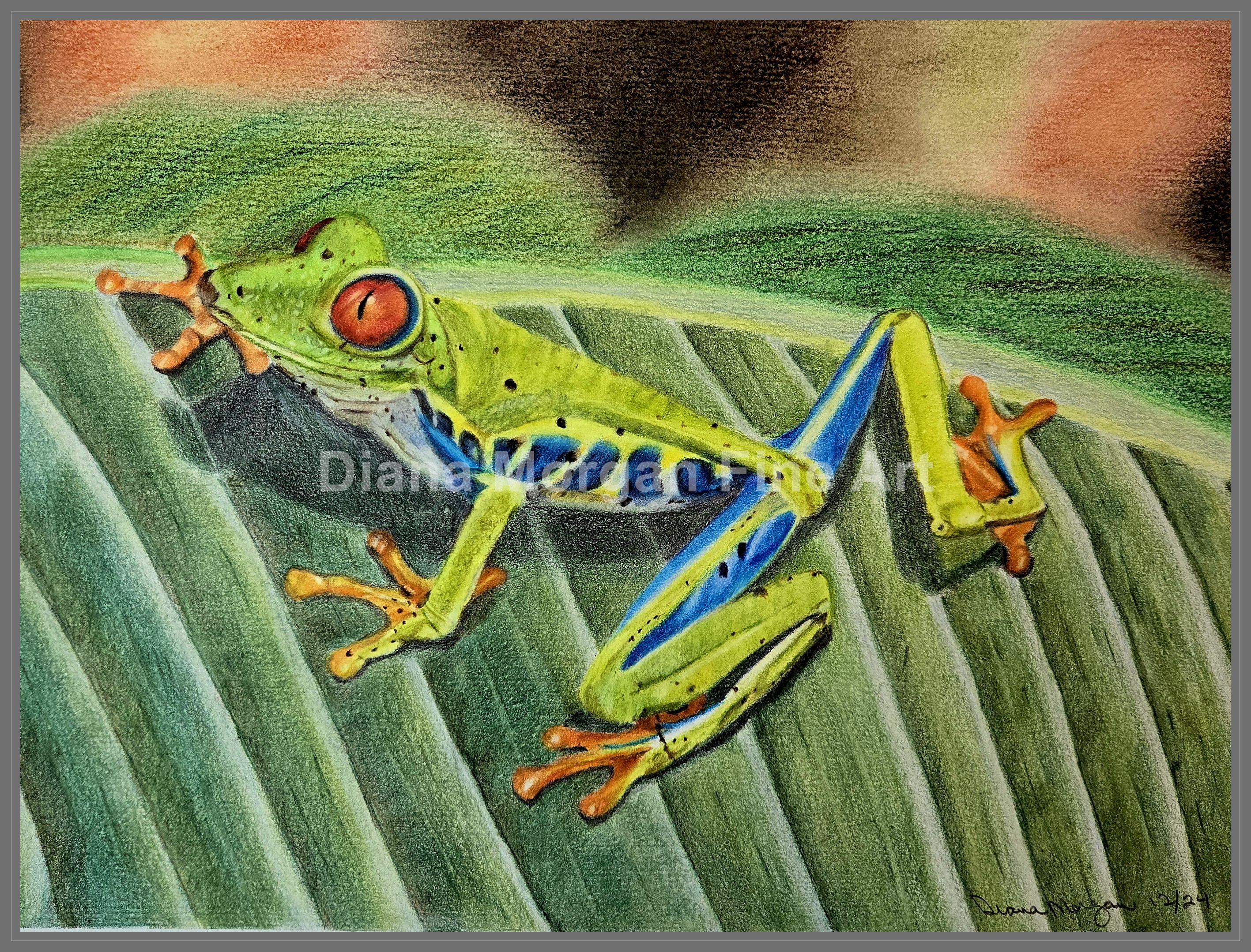 Colorful Tree Frog